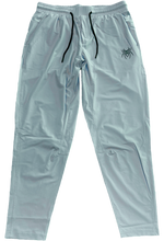 Load image into Gallery viewer, Spiderz Trainer Pant (Available in 5 Colors)
