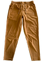 Load image into Gallery viewer, Spiderz Trainer Pant (Available in 5 Colors)
